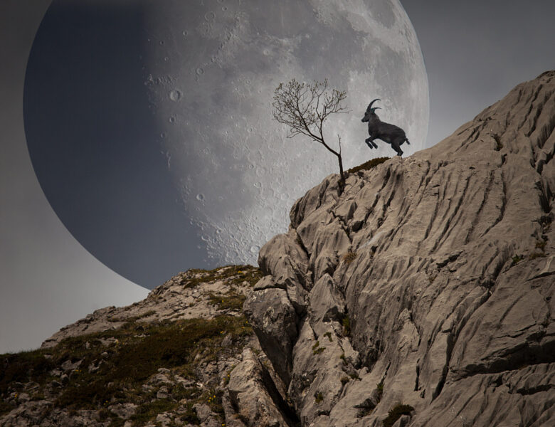 LECTURA | El Profesionalismo y la Vocación: Un Viaje de Autodescubrimiento y Propósito